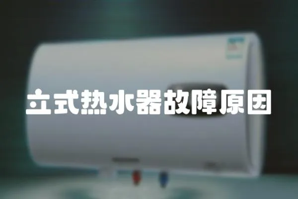 立式熱水器故障原因