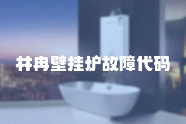 林冉壁掛爐故障代碼