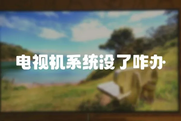 電視機系統沒了咋辦
