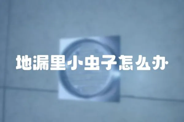 地漏里小蟲(chóng)子怎么辦