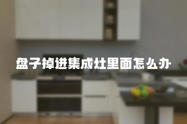 盘子掉进集成灶里面怎么办