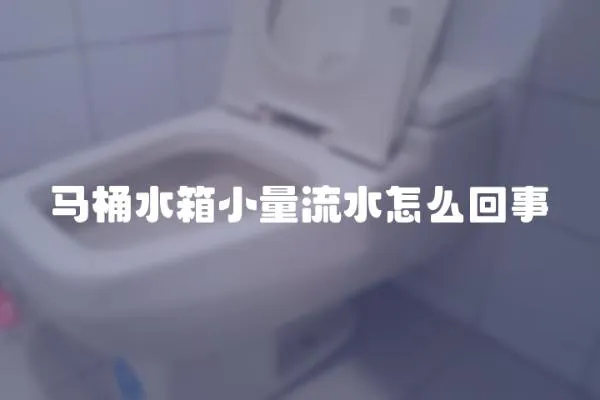 馬桶水箱小量流水怎么回事