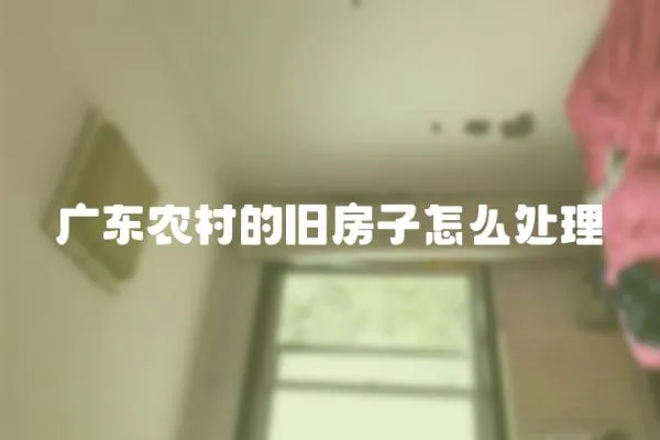 廣東農(nóng)村的舊房子怎么處理
