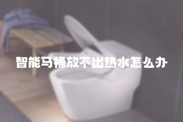 智能馬桶放不出熱水怎么辦