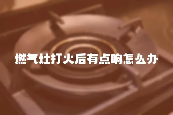 燃氣灶打火后有點響怎么辦