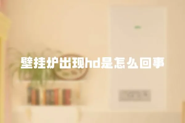 壁掛爐出現hd是怎么回事