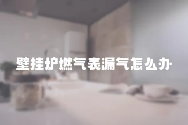 壁掛爐燃?xì)獗砺庠趺崔k