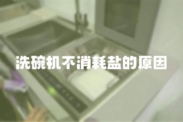 洗碗機(jī)不消耗鹽的原因