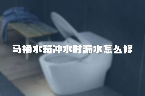 馬桶水箱沖水時漏水怎么修