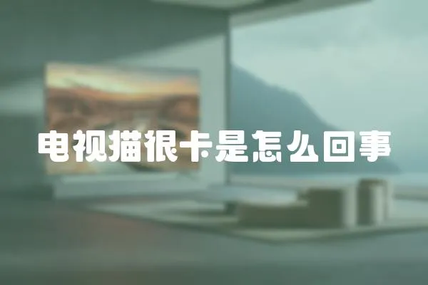 電視貓很卡是怎么回事