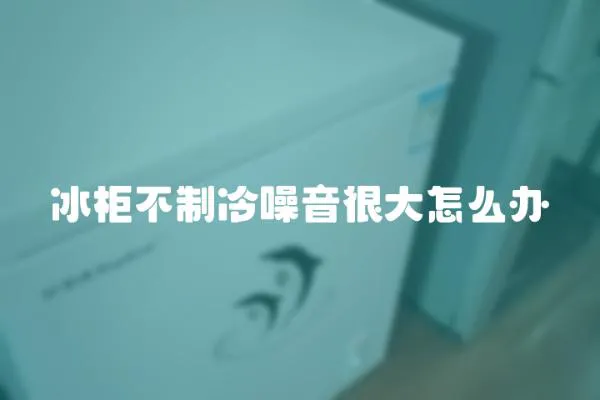 冰柜不制冷噪音很大怎么辦