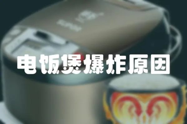 電飯煲爆炸原因