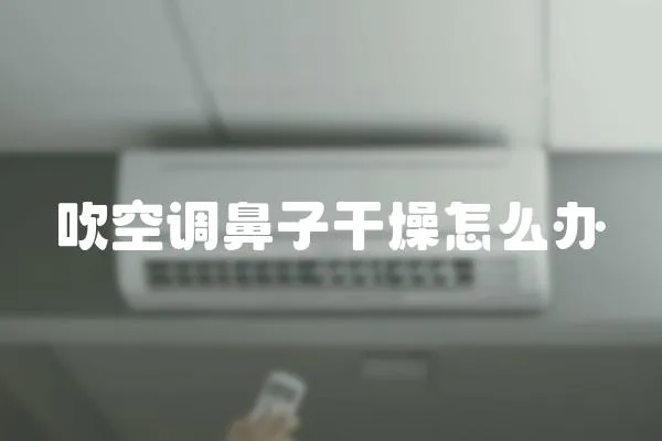 吹空調(diào)鼻子干燥怎么辦