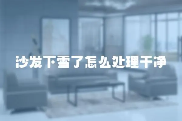 沙發下雪了怎么處理干凈
