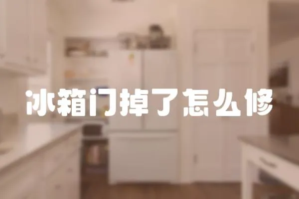 冰箱門掉了怎么修