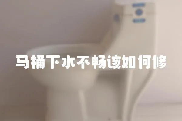 馬桶下水不暢該如何修