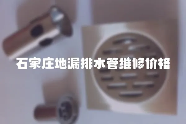 石家莊地漏排水管維修價格
