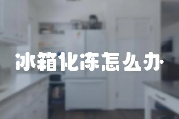 冰箱化凍怎么辦