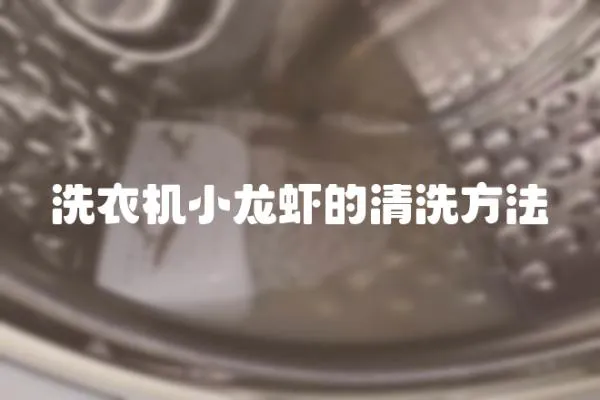 洗衣機小龍蝦的清洗方法