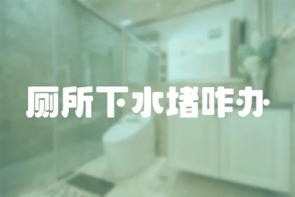 廁所下水堵咋辦