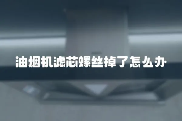 油煙機濾芯螺絲掉了怎么辦