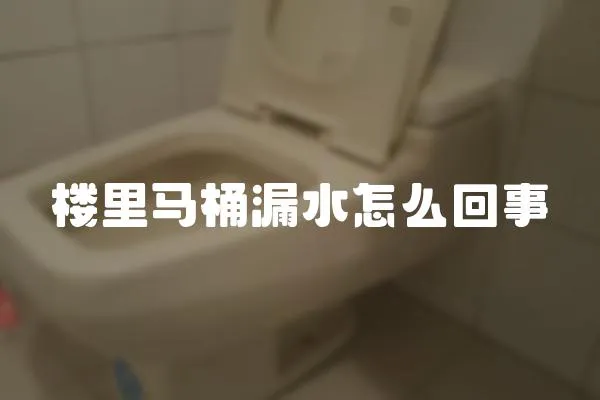 樓里馬桶漏水怎么回事