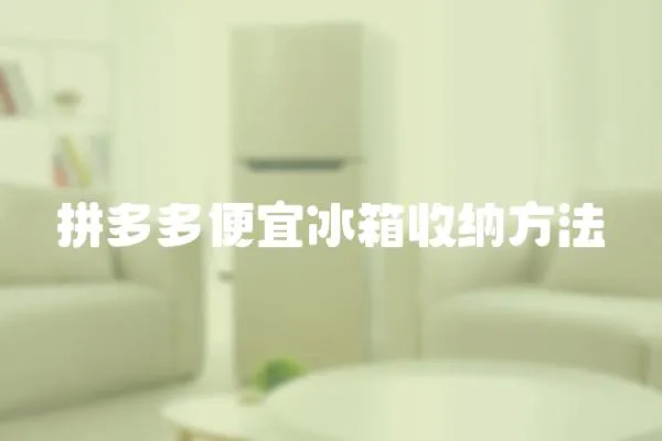 拼多多便宜冰箱收納方法