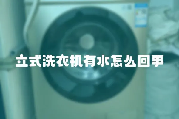 立式洗衣機有水怎么回事