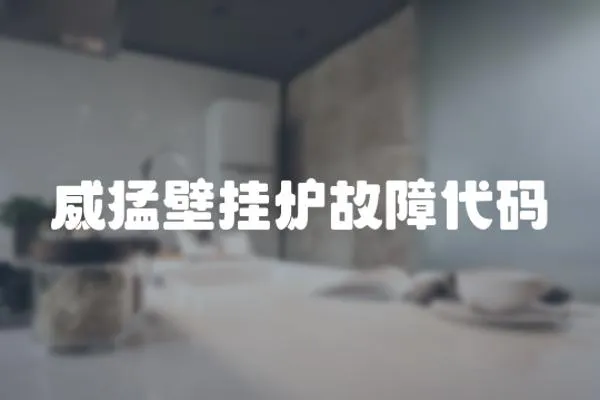 威猛壁掛爐故障代碼