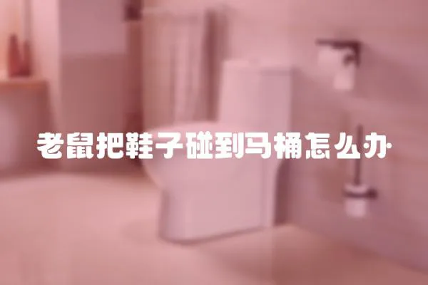 老鼠把鞋子碰到馬桶怎么辦
