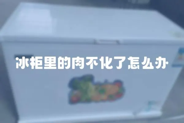 冰柜里的肉不化了怎么辦