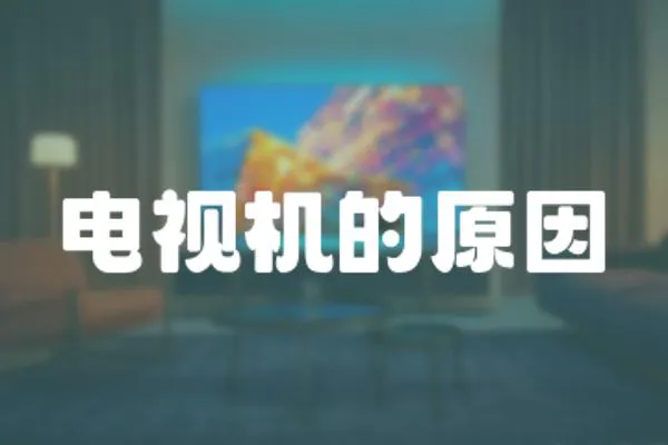 電視機的原因