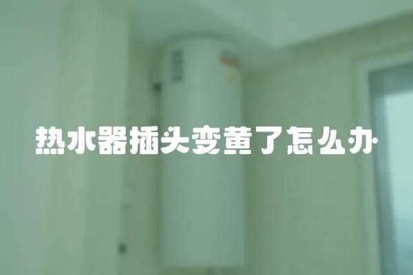 熱水器插頭變黃了怎么辦