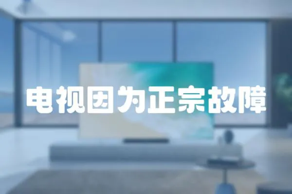 電視因為正宗故障