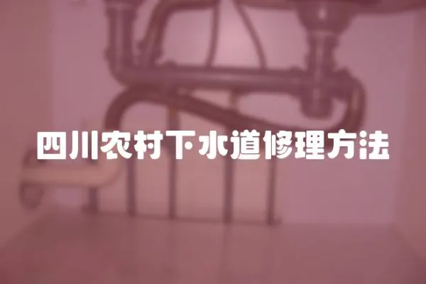 四川農(nóng)村下水道修理方法