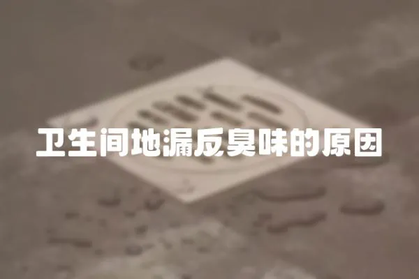 衛(wèi)生間地漏反臭味的原因