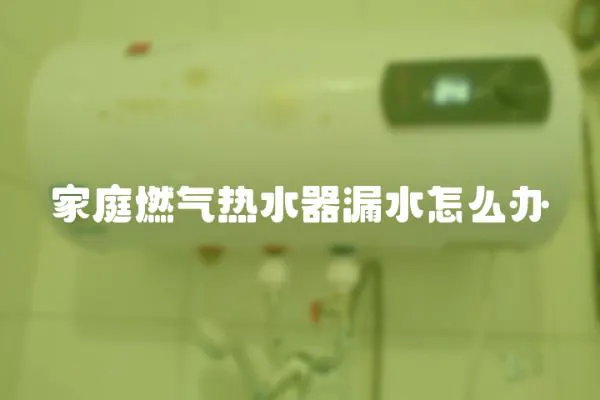 家庭燃氣熱水器漏水怎么辦