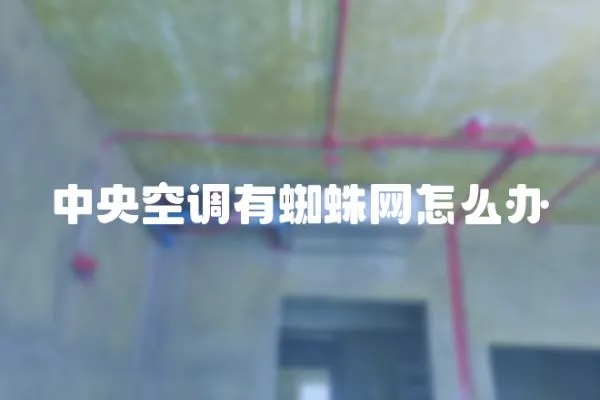 中央空調有蜘蛛網怎么辦