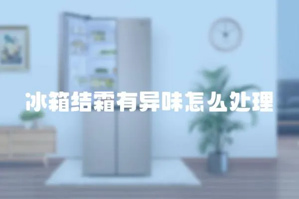 冰箱結霜有異味怎么處理