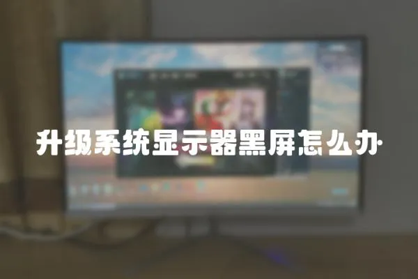 升級系統顯示器黑屏怎么辦