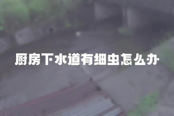 廚房下水道有細蟲怎么辦