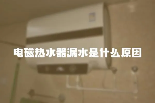 電磁熱水器漏水是什么原因