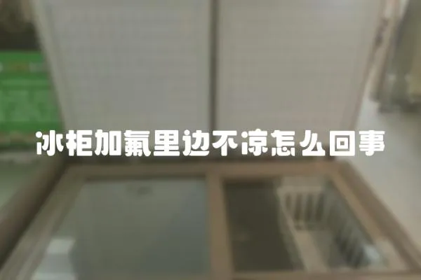 冰柜加氟里邊不涼怎么回事