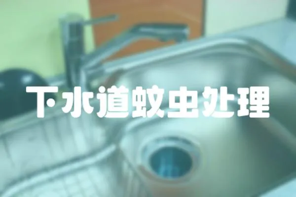 下水道蚊蟲處理