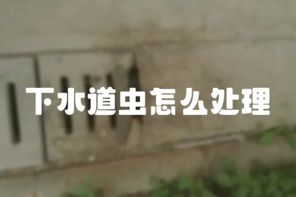 下水道蟲怎么處理