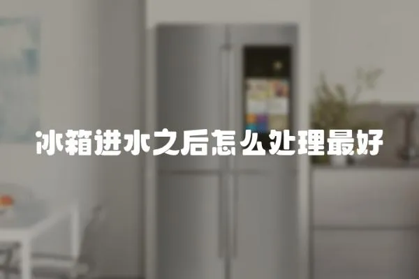 冰箱進(jìn)水之后怎么處理最好