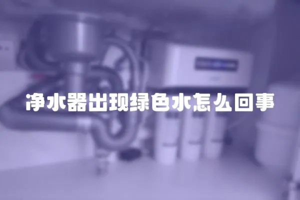 凈水器出現綠色水怎么回事