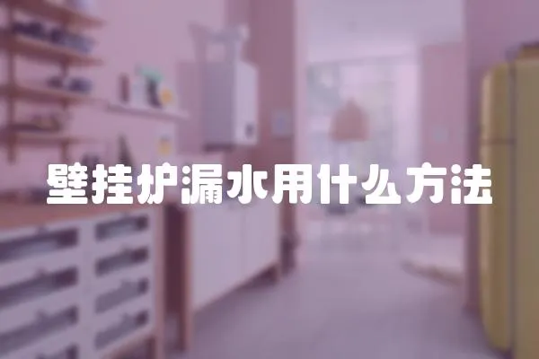 壁掛爐漏水用什么方法