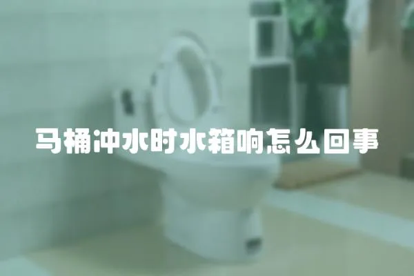 马桶冲水时水箱响怎么回事