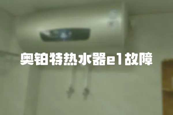 奧鉑特熱水器e1故障